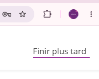 Bouton « Finir plus tard » en haut à droite du questionnaire